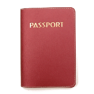 여권케이스12